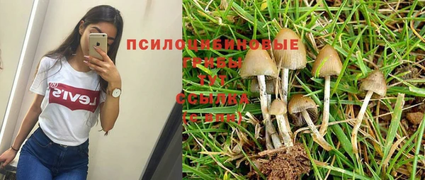 гидропоника Армянск