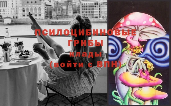 гидропоника Армянск