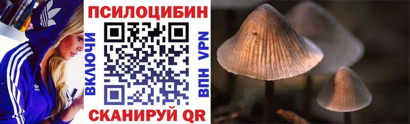 где продают   Спасск-Рязанский  Галлюциногенные грибы мицелий 
